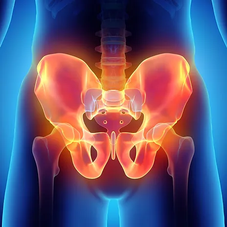 A digital illustration of a human pelvis with highlighted hip bones and sacrum, displaying sections in red and orange to indicate focus or potential areas of activity, akin to visual aids used in Davenport Pelvic Therapy.