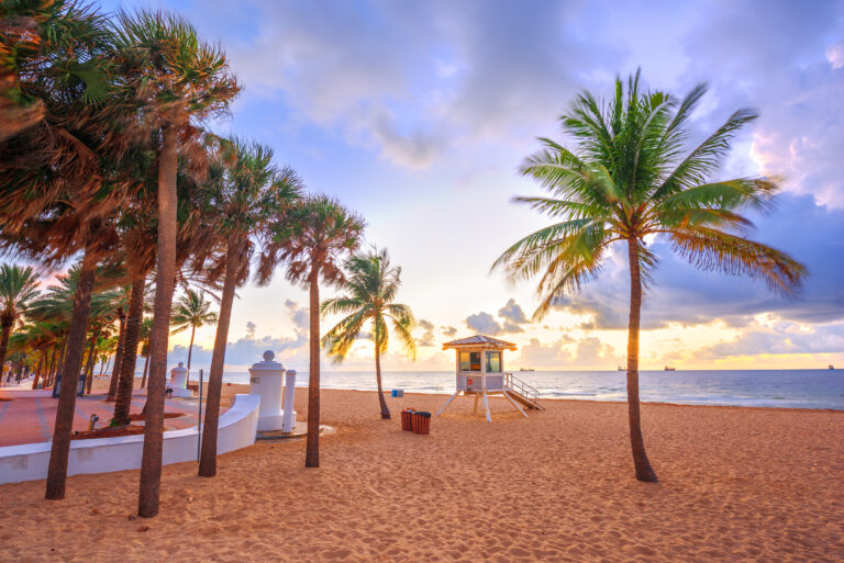 A sandy beach landscape in Florida with palm trees, a lifeguard tower, and a partly cloudy sky during sunrise or sunset. The ocean is visible in the background, making it an ideal spot for relaxation and pelvic therapy.